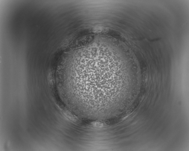 X0000072930272200608041224