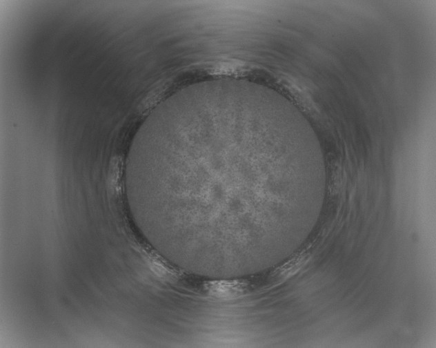 X0000072930273200608041224