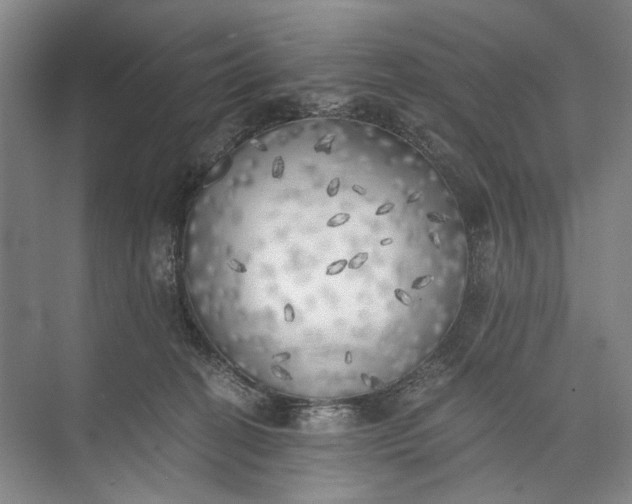 X0000072930274200608041224