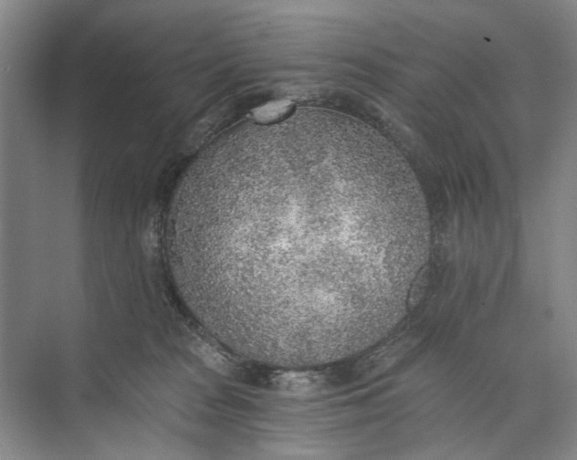 X0000072930277200608041224