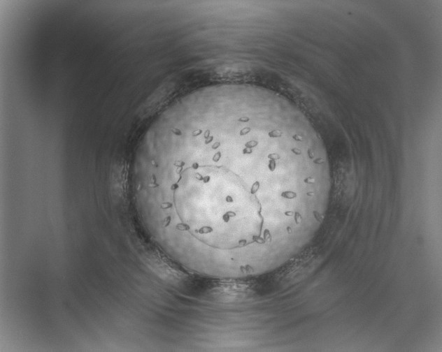 X0000072930278200608041224