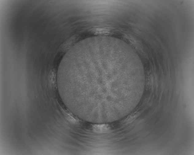 X0000072930281200608041224