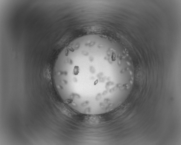 X0000072930282200608041224