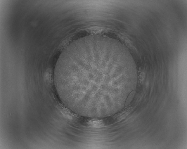 X0000072930283200608041224