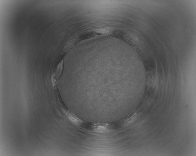 X0000072930285200608041224