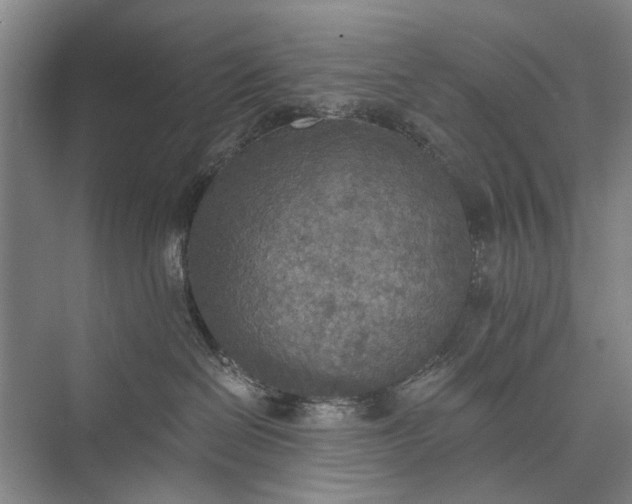 X0000072930286200608041224