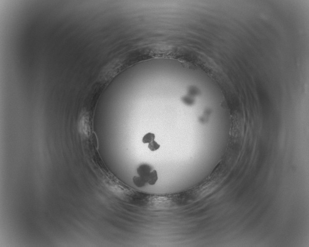 X0000072930287200608041224