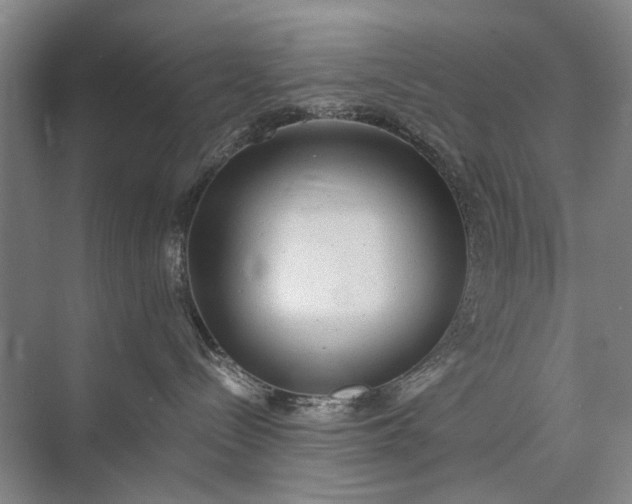 X0000072930288200608041224