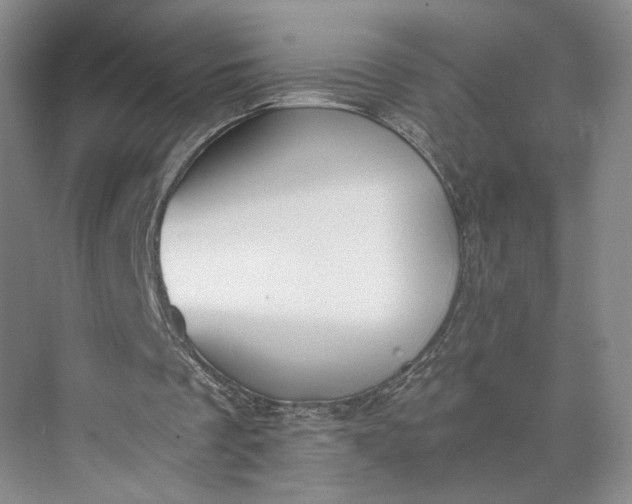 X0000072930289200608041223