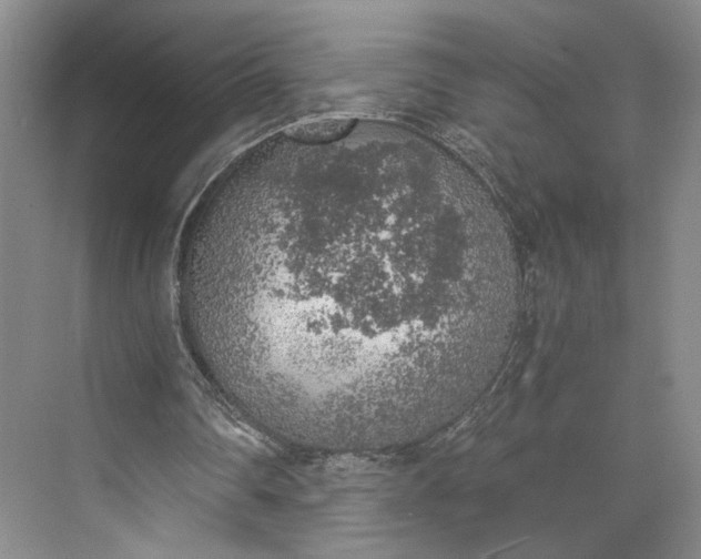 X0000072930290200608041223