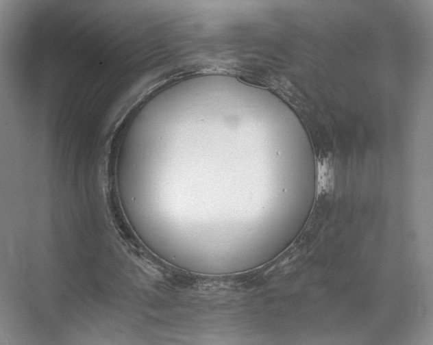 X0000072930291200608041223