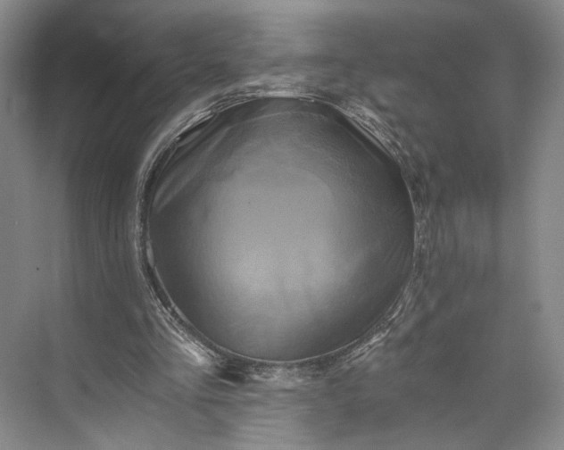 X0000072930293200608041223