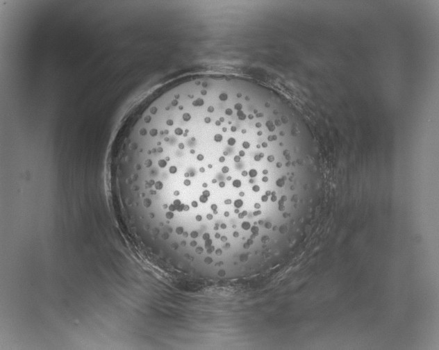 X0000072930294200608041223