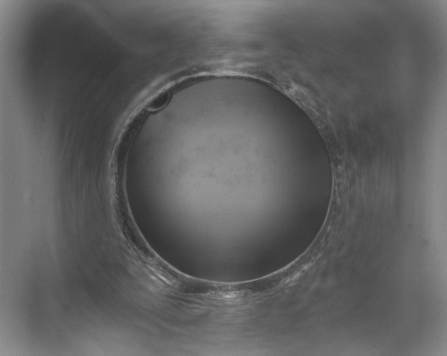 X0000072930295200608041223