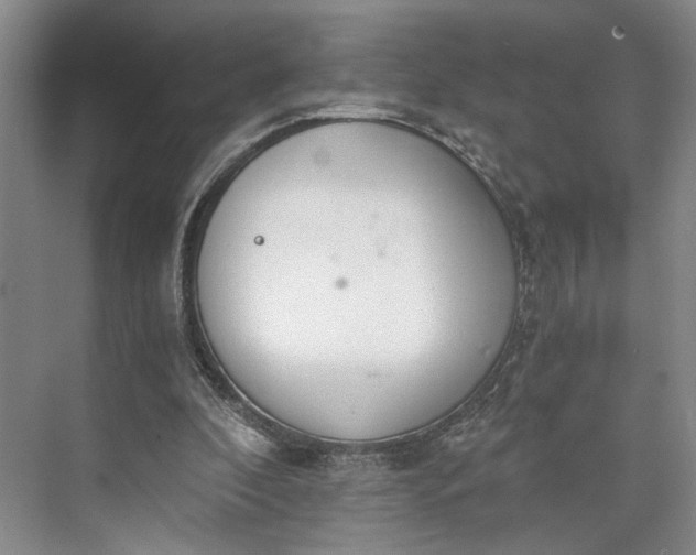 X0000072930296200608041223