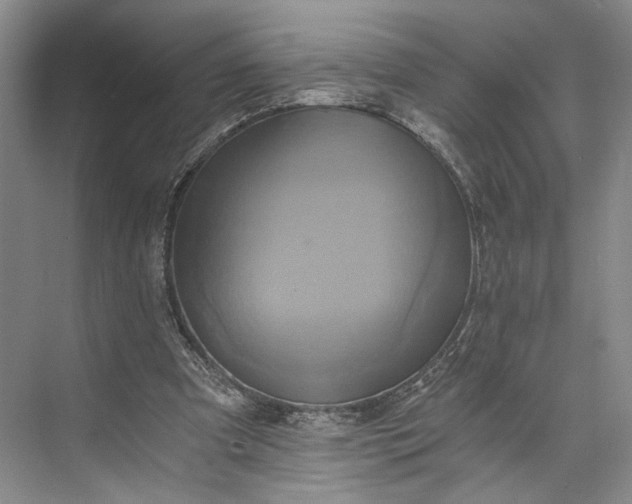 X0000072930297200608041223