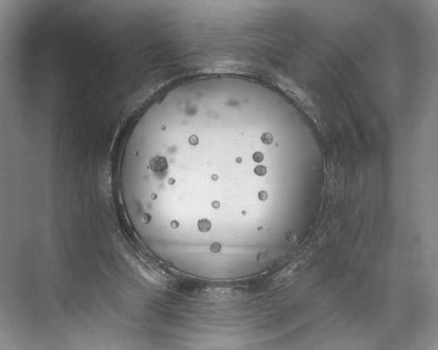 X0000072930298200608041223