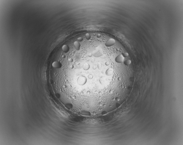 X0000072930299200608041223