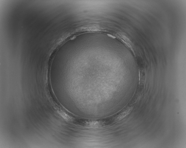 X0000072930301200608041223