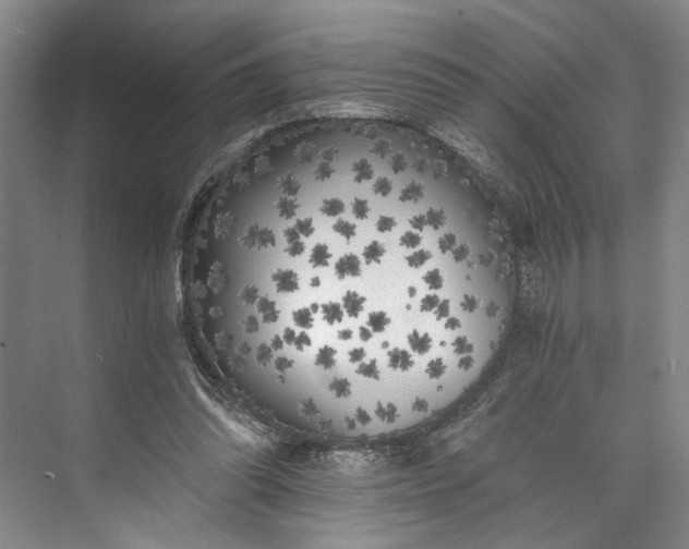 X0000072930302200608041223