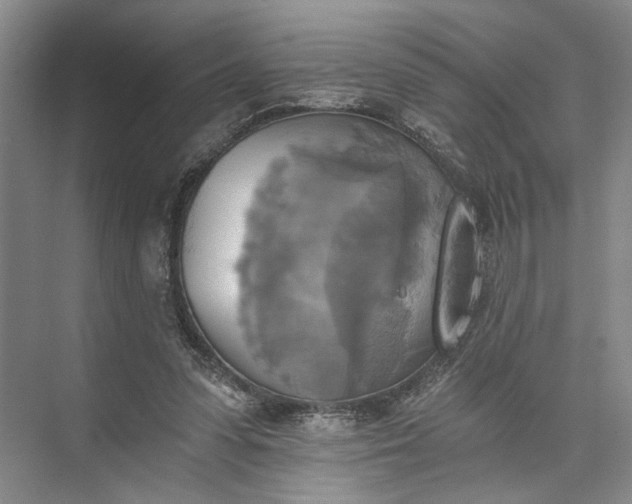 X0000072930303200608041223