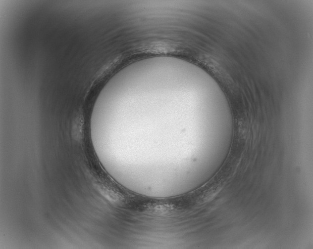 X0000072930304200608041223