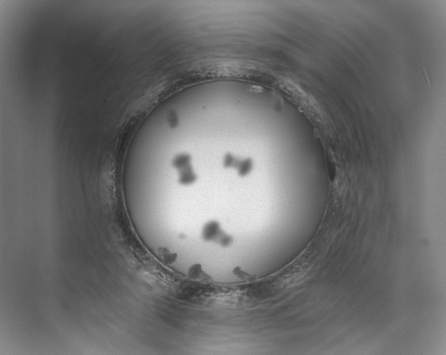 X0000072930306200608041223