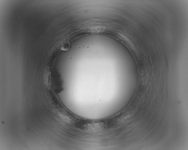 X0000072930307200608041223