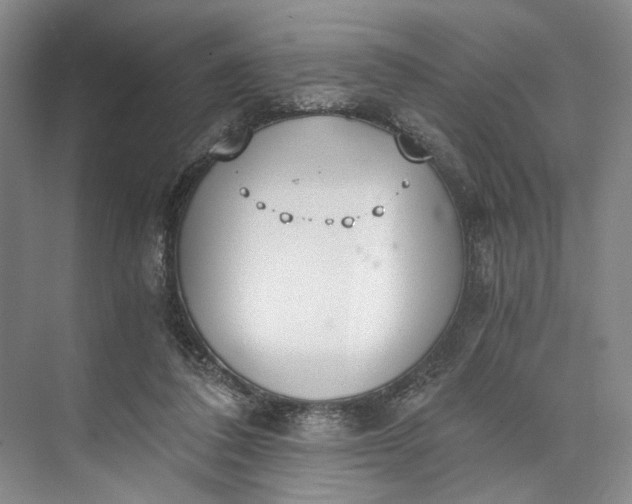 X0000072930308200608041223