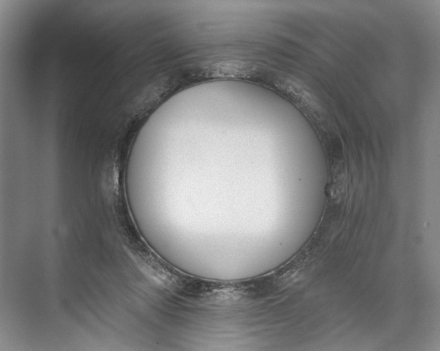 X0000072930310200608041223