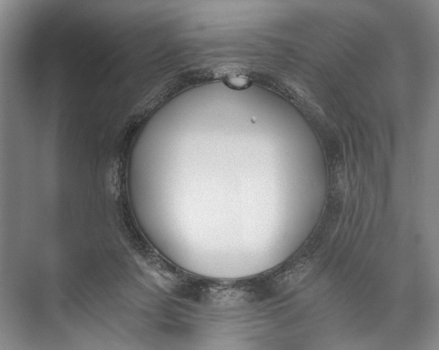 X0000072930311200608041223