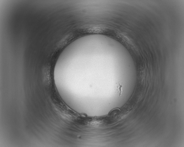 X0000072930312200608041223