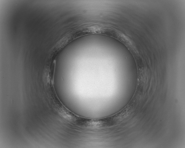 X0000072930313200608041223