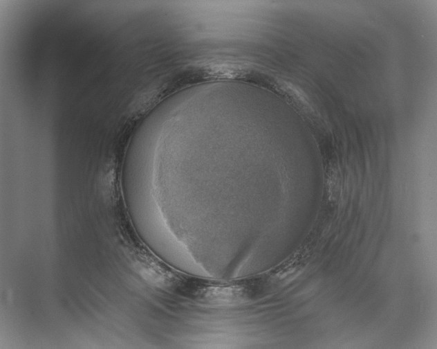 X0000072930314200608041223