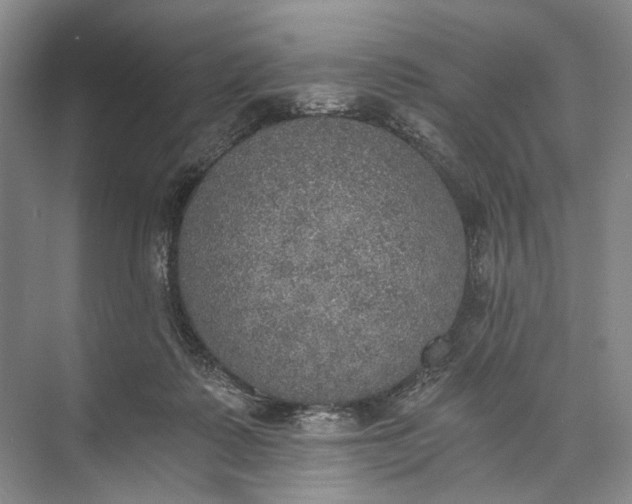 X0000072930315200608041223