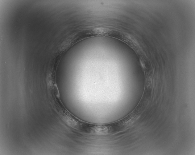 X0000072930317200608041223