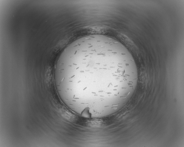 X0000072930318200608041223