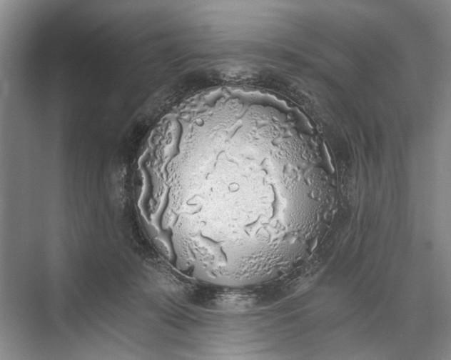 X0000072930319200608041223