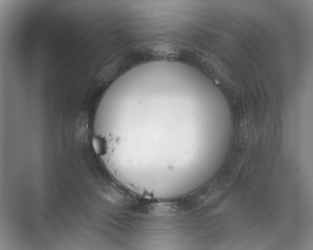 X0000072930320200608041223