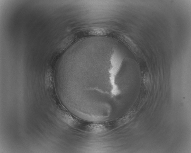 X0000072930322200608041223