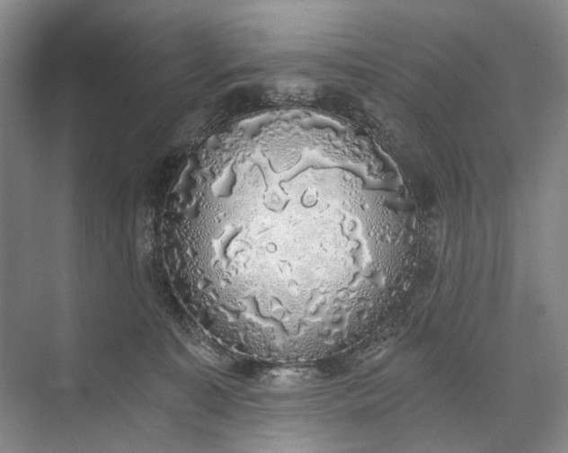 X0000072930323200608041223