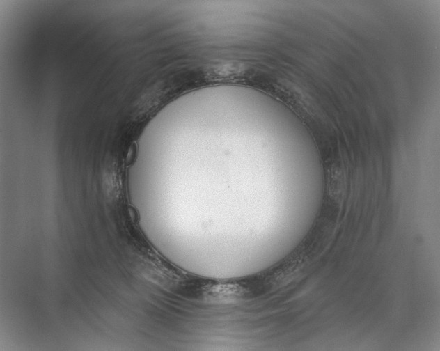 X0000072930324200608041223