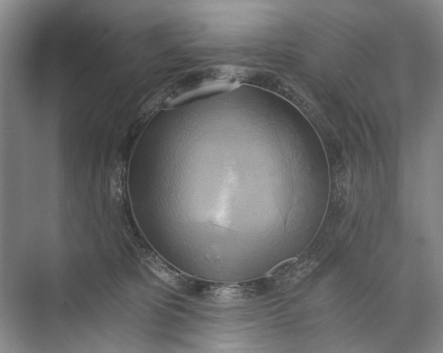 X0000072930325200608041222