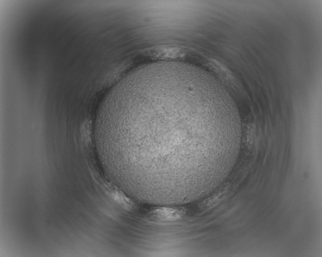 X0000072930326200608041222