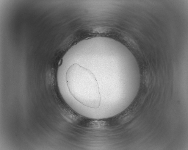 X0000072930328200608041222