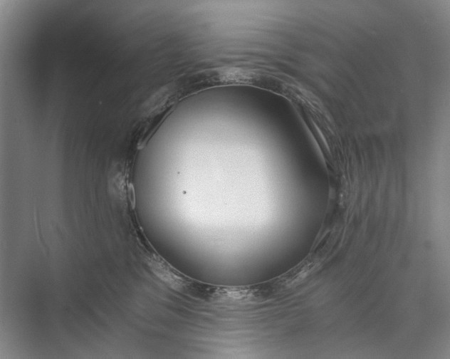 X0000072930329200608041222