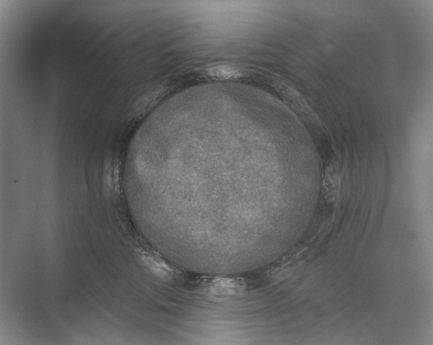 X0000072930330200608041222