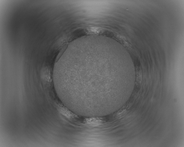 X0000072930331200608041222