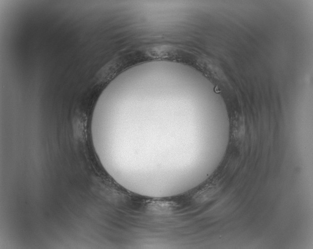 X0000072930332200608041222