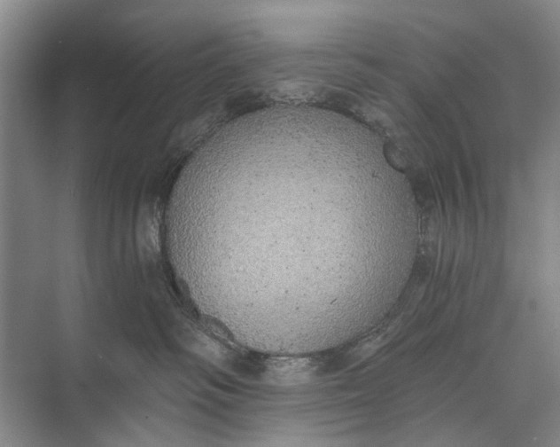 X0000072930334200608041222